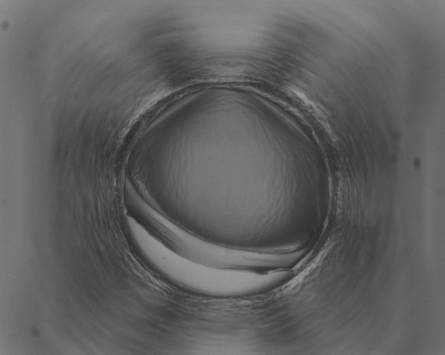 X0000087351449200705181114