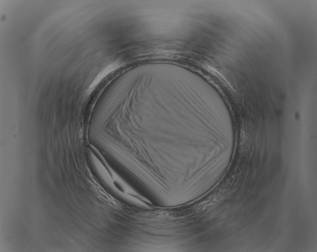 X0000087351450200705181114