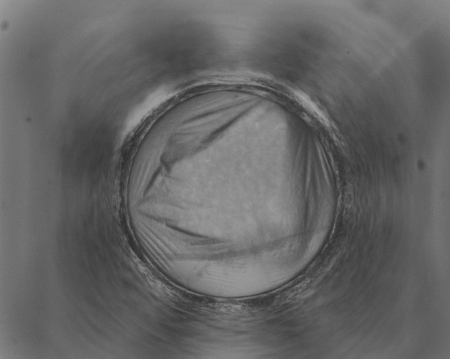 X0000087351456200705181114