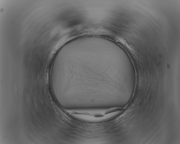 X0000087351459200705181114