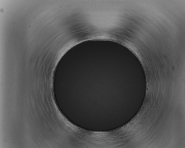 X0000087351483200705181114