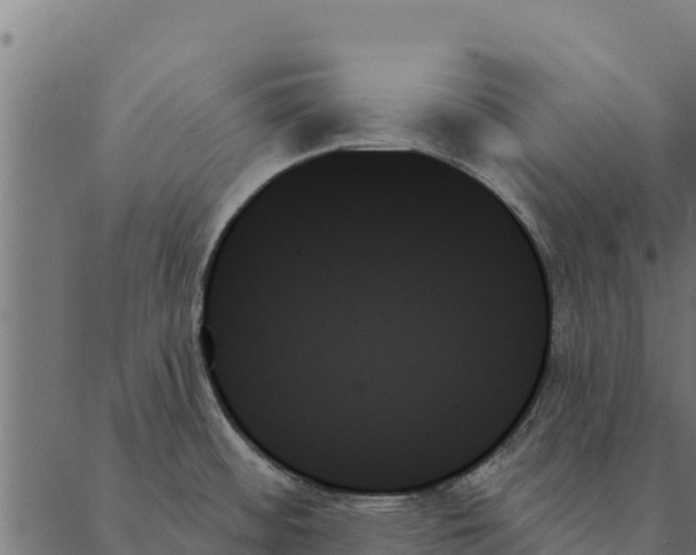 X0000087351484200705181114