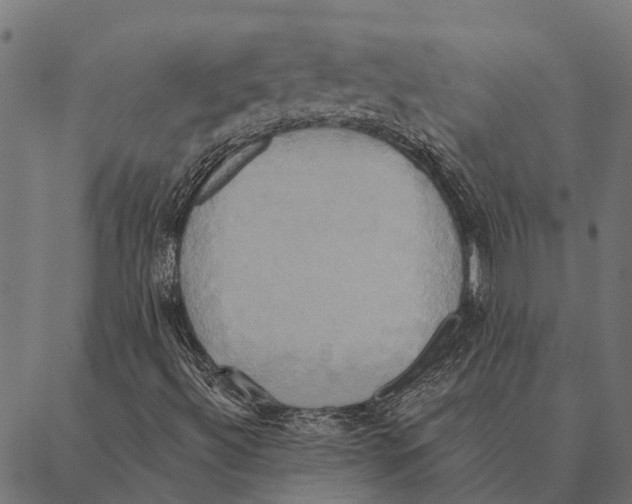 X0000087351492200705181113