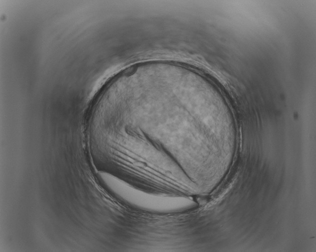 X0000087351501200705181113