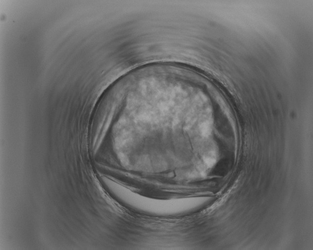 X0000087351513200705181113
