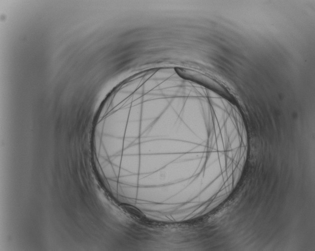 X0000087351530200705181113