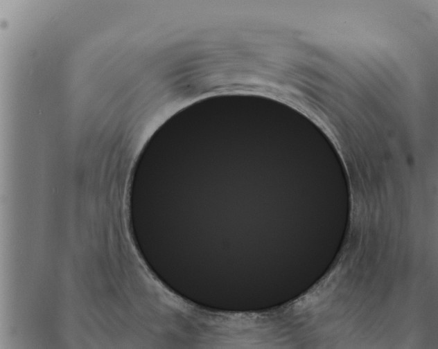 X0000087351533200705181114