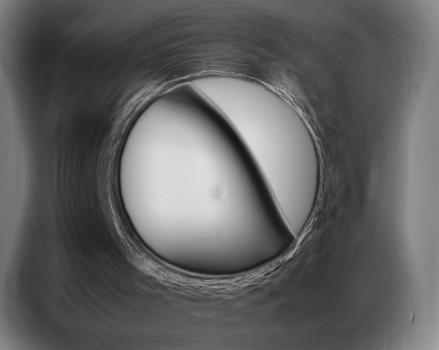 X0000087360001200704200835