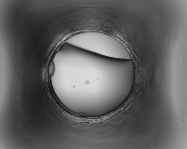 X0000087360002200704200835