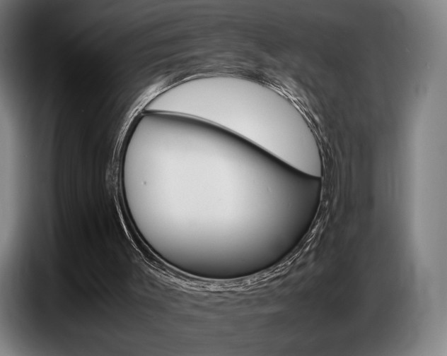 X0000087360003200704200835