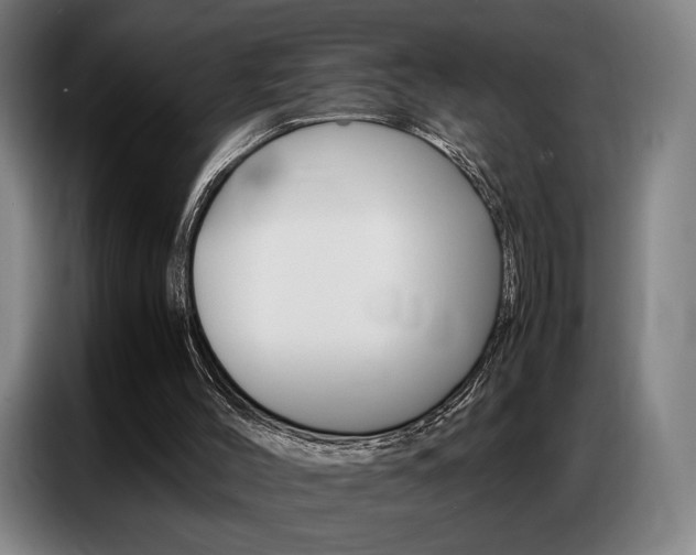 X0000087360004200704200835