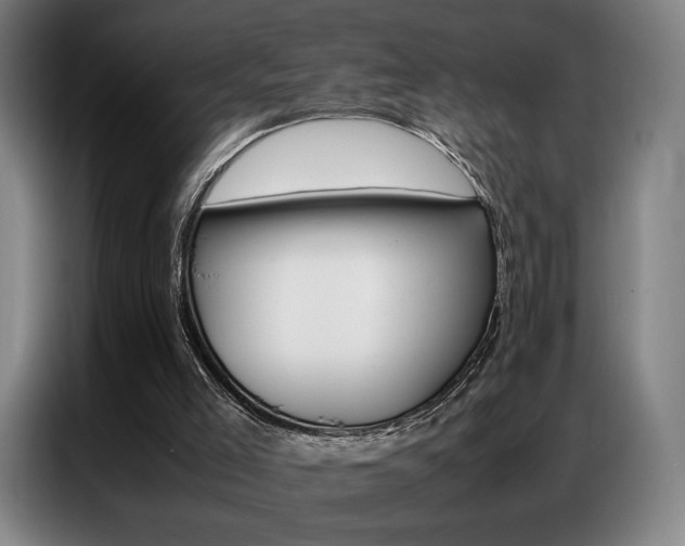 X0000087360005200704200835