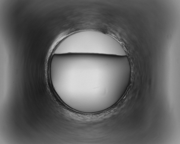 X0000087360006200704200835