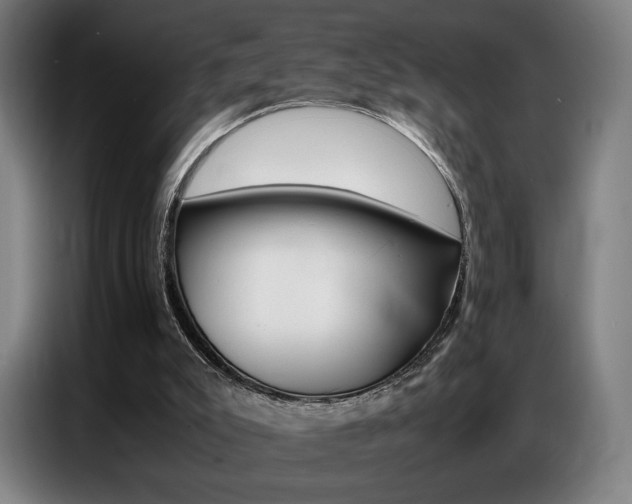 X0000087360007200704200835