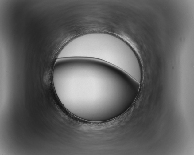 X0000087360009200704200835