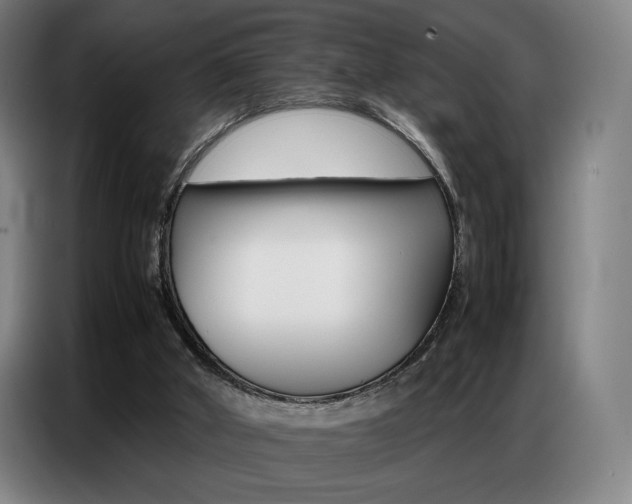 X0000087360010200704200835