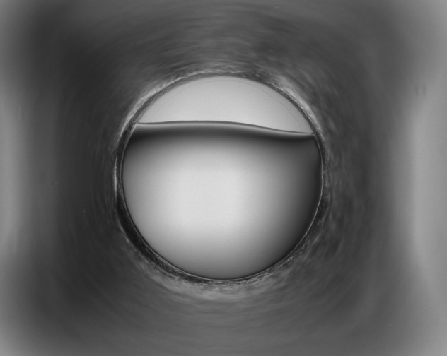 X0000087360011200704200835