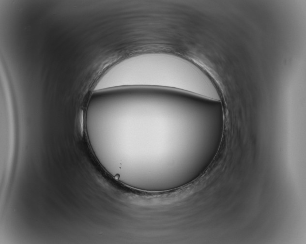 X0000087360013200704200835