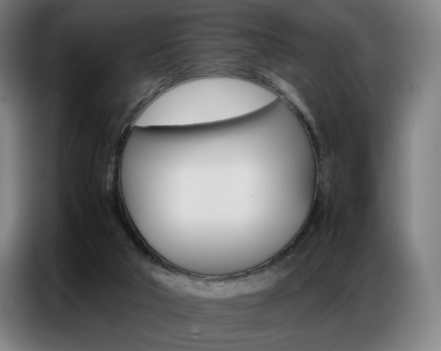 X0000087360018200704200835