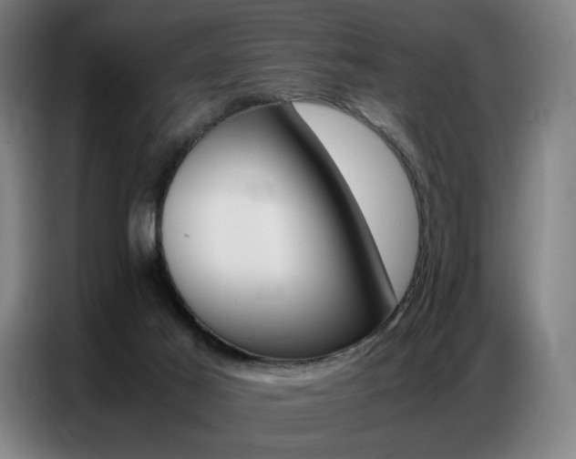 X0000087360021200704200835