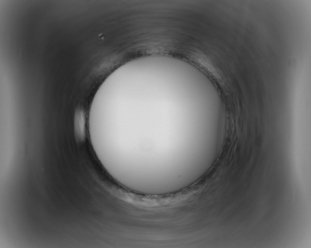 X0000087360022200704200835