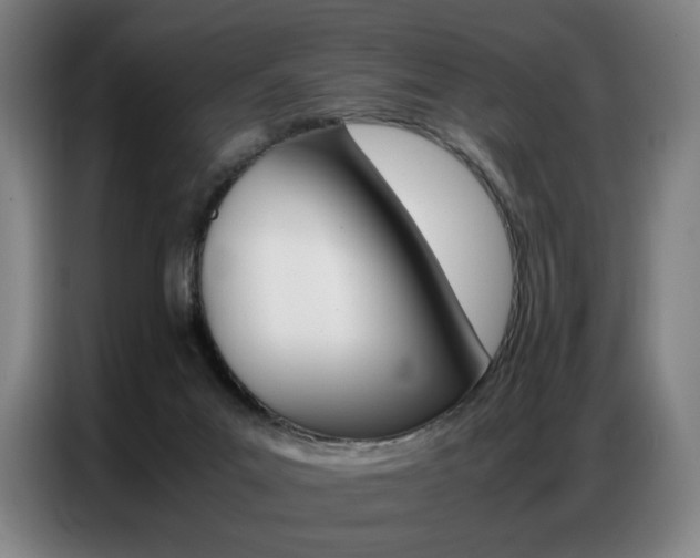 X0000087360023200704200835