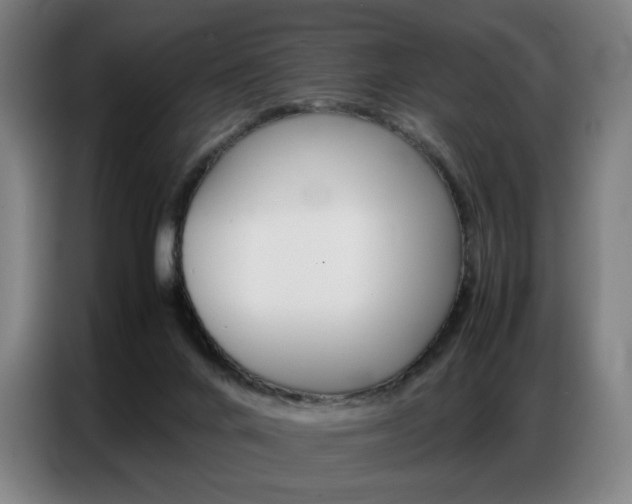 X0000087360024200704200835