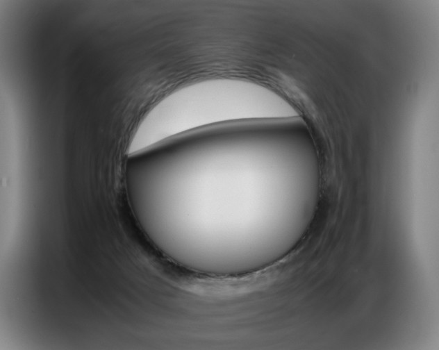 X0000087360025200704200835
