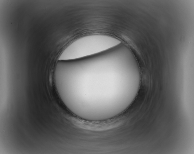 X0000087360026200704200835