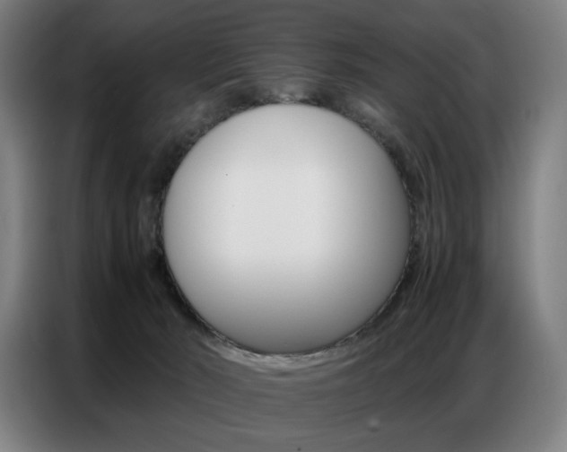 X0000087360030200704200835