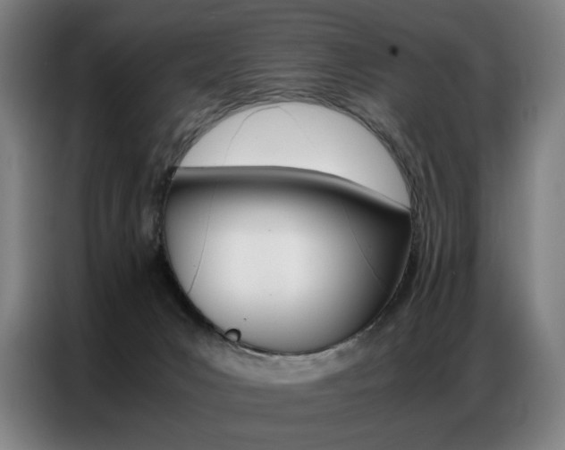 X0000087360031200704200835
