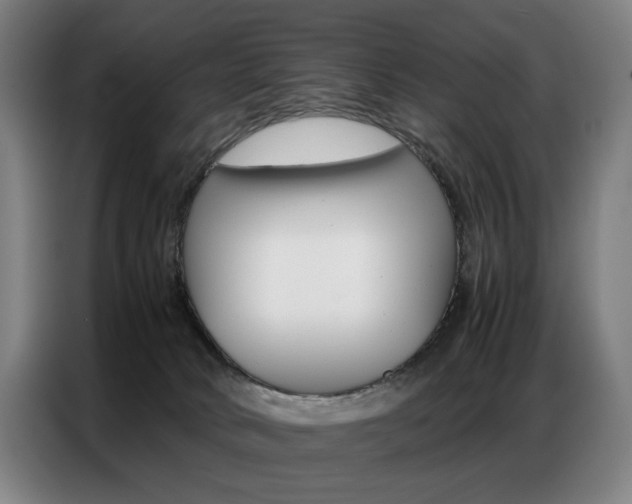 X0000087360034200704200835