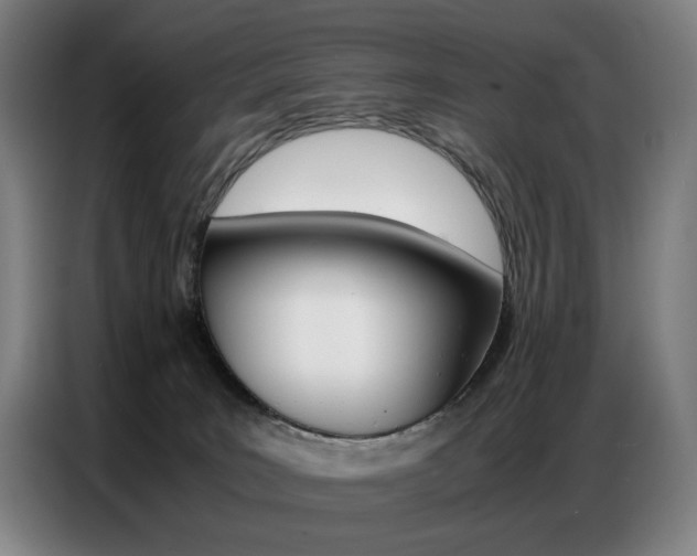 X0000087360035200704200835