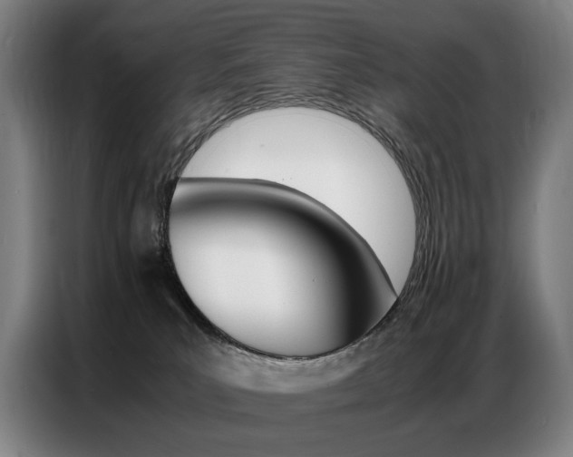 X0000087360039200704200835