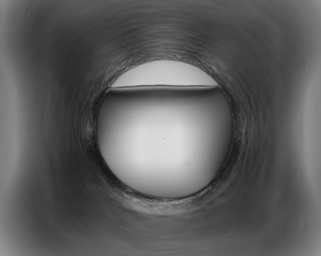 X0000087360040200704200835