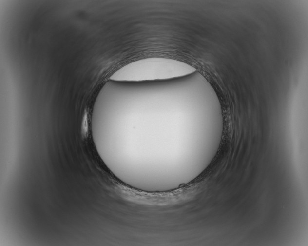 X0000087360042200704200835
