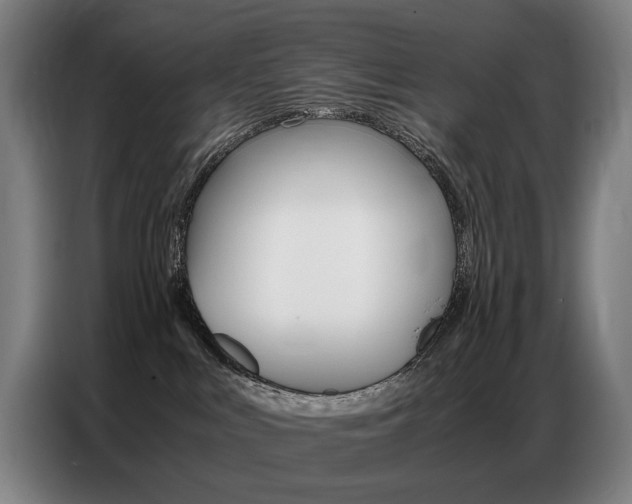 X0000087360043200704200835