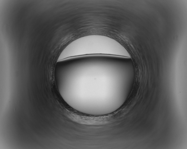 X0000087360044200704200835