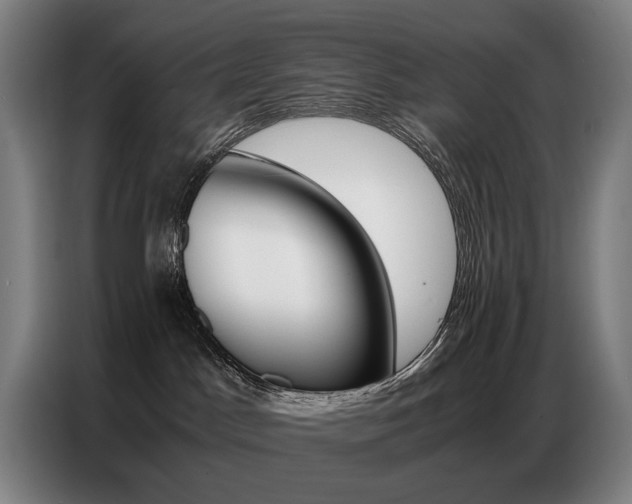 X0000087360045200704200835