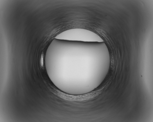 X0000087360046200704200835