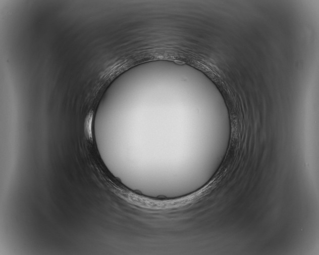 X0000087360047200704200835