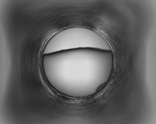X0000087360049200704200834