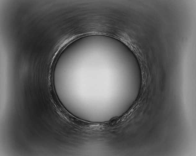 X0000087360050200704200834