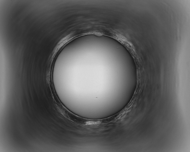 X0000087360051200704200834