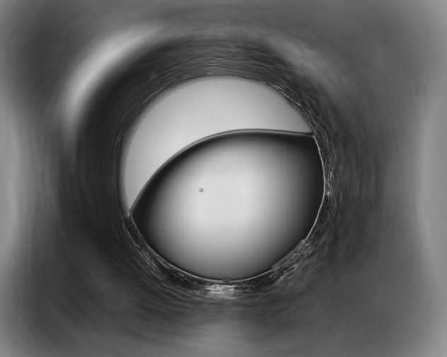 X0000087360052200704200834
