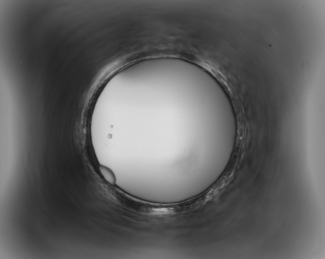 X0000087360053200704200834