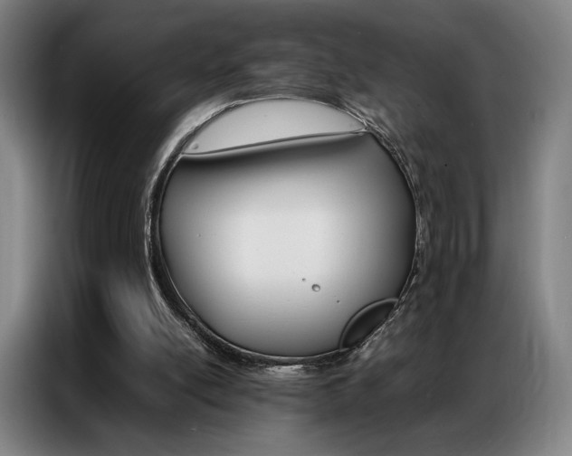 X0000087360054200704200834