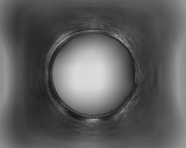 X0000087360055200704200834