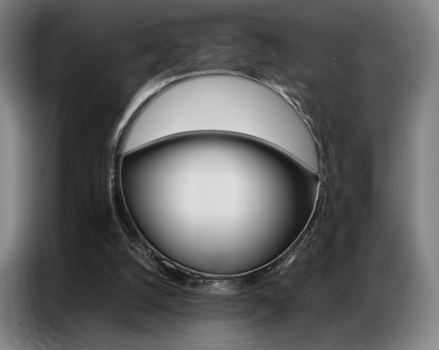 X0000087360056200704200834