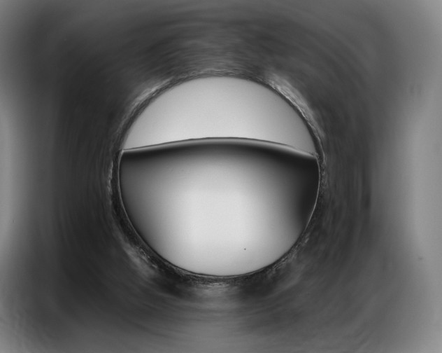 X0000087360058200704200834